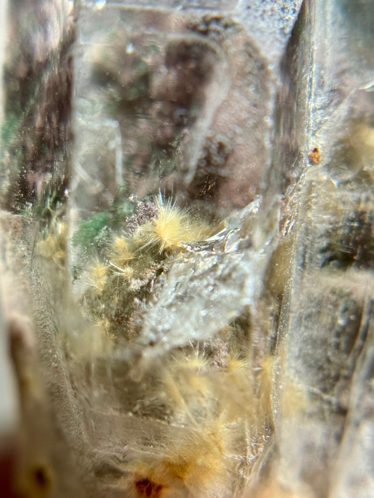 Dandelion Rutile in Quartz