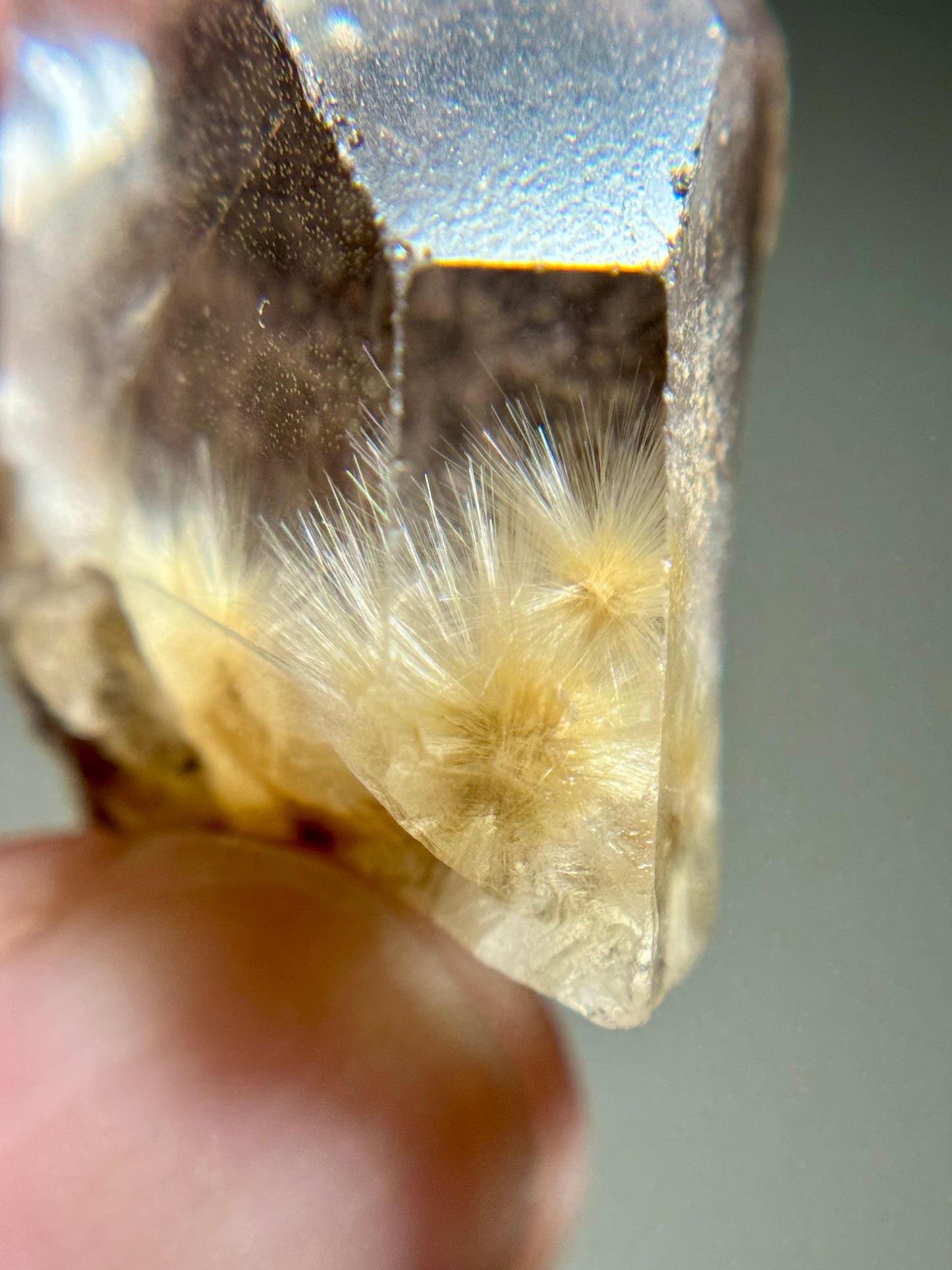 Dandelion Rutile in Quartz