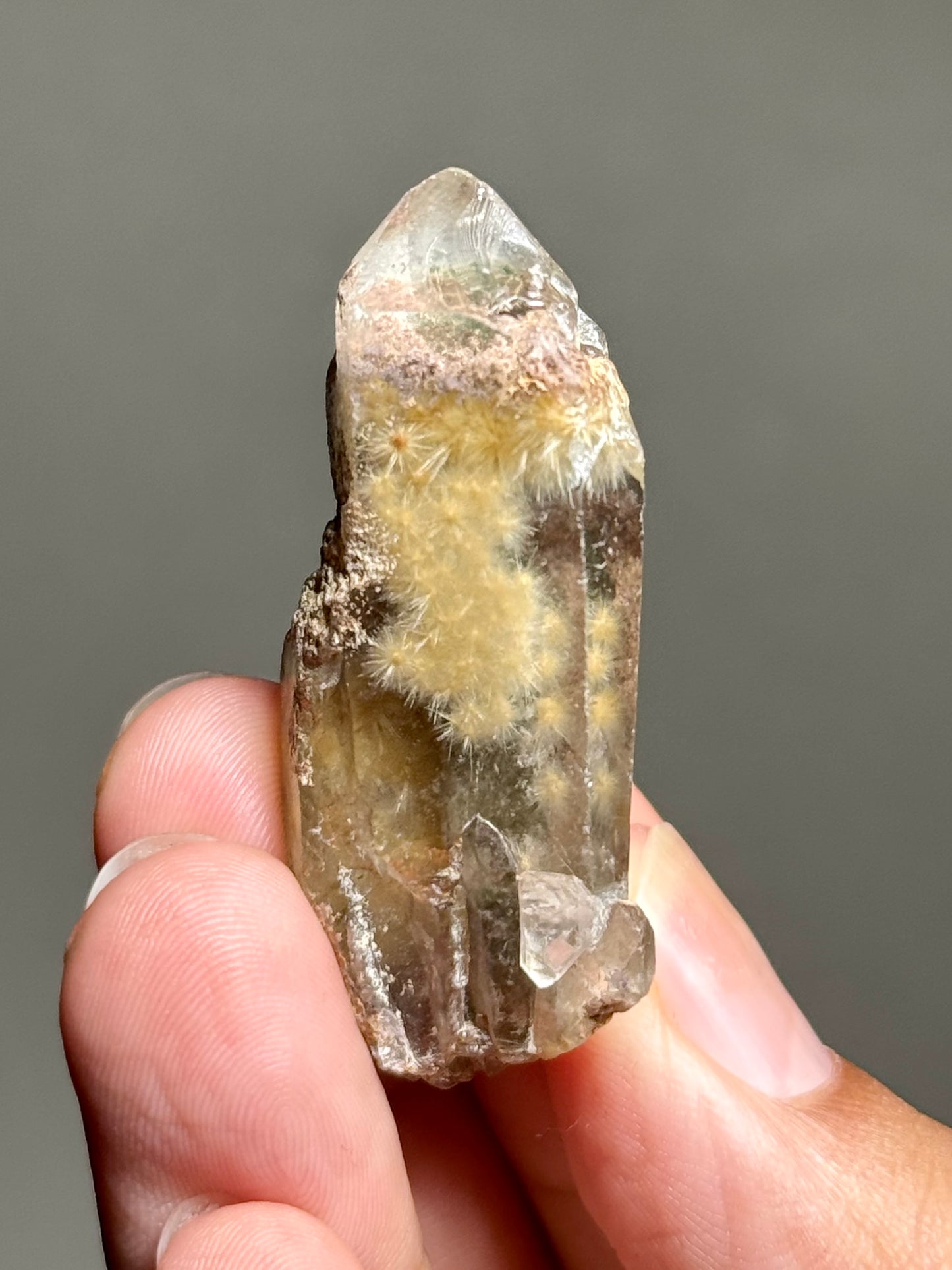 Dandelion Rutile in Quartz