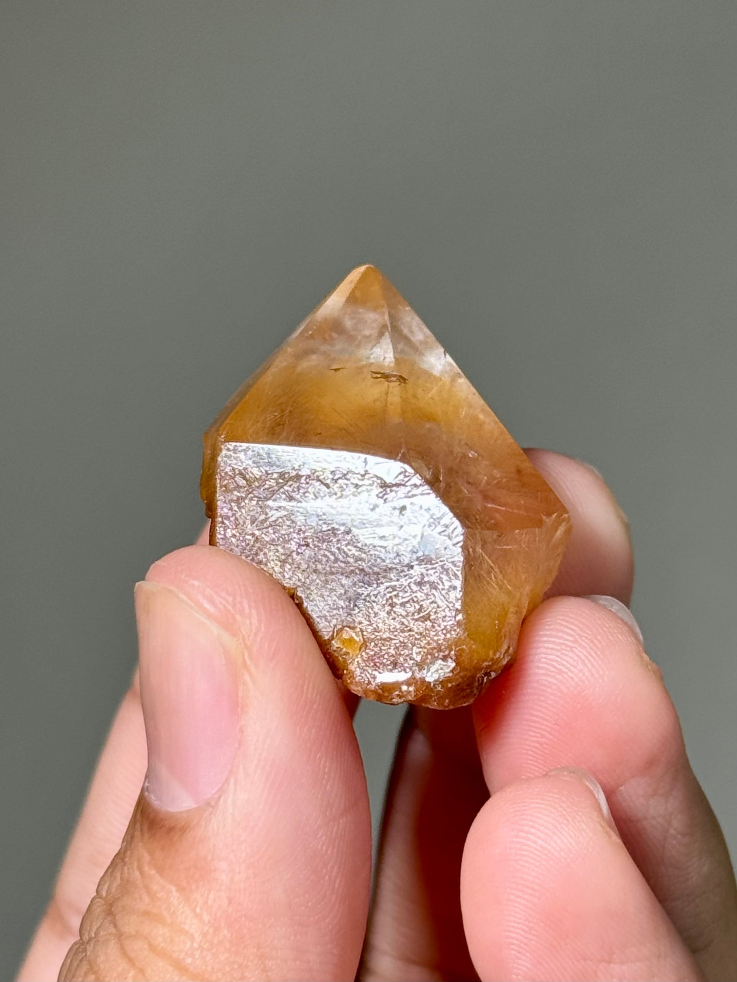 Semi-Polished Himalayan Quartz with Rutile