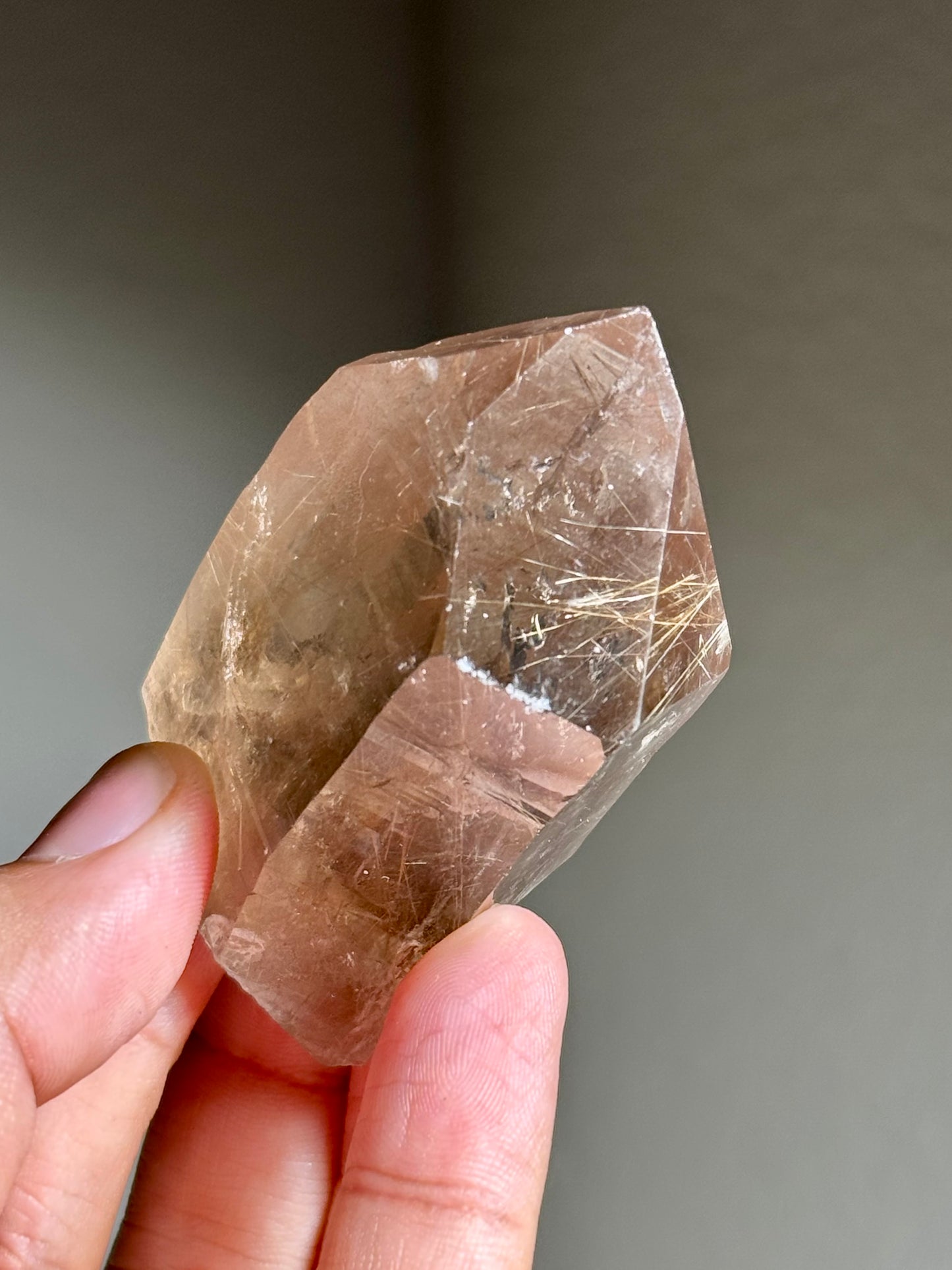 Smoky Quartz with Rutile