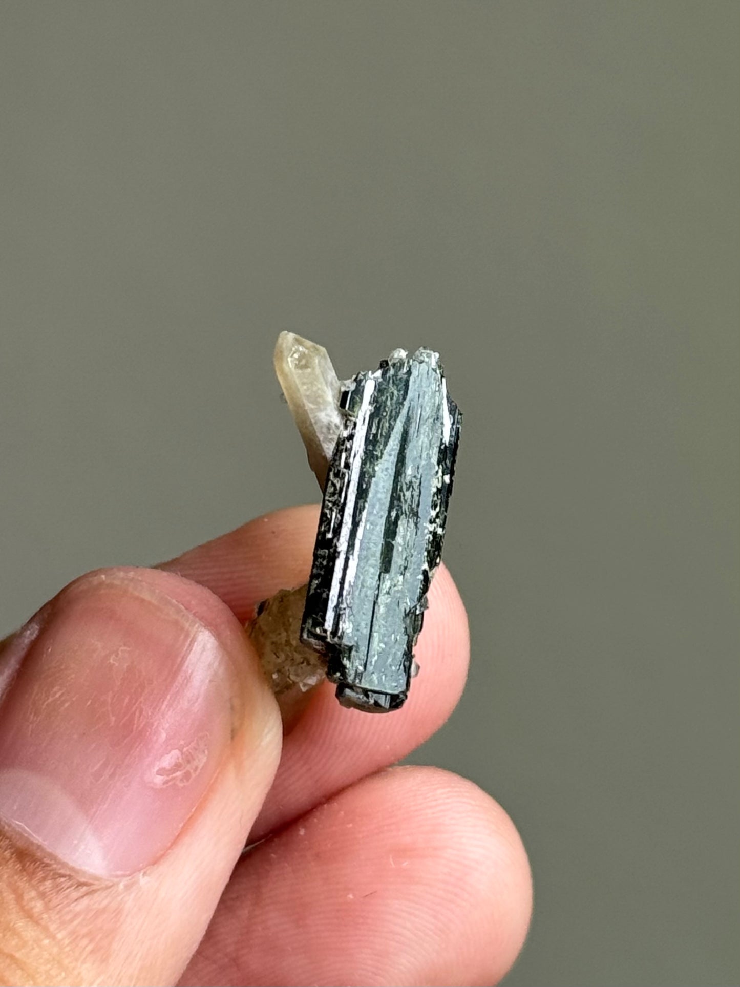 Quartz and Hedenbergite