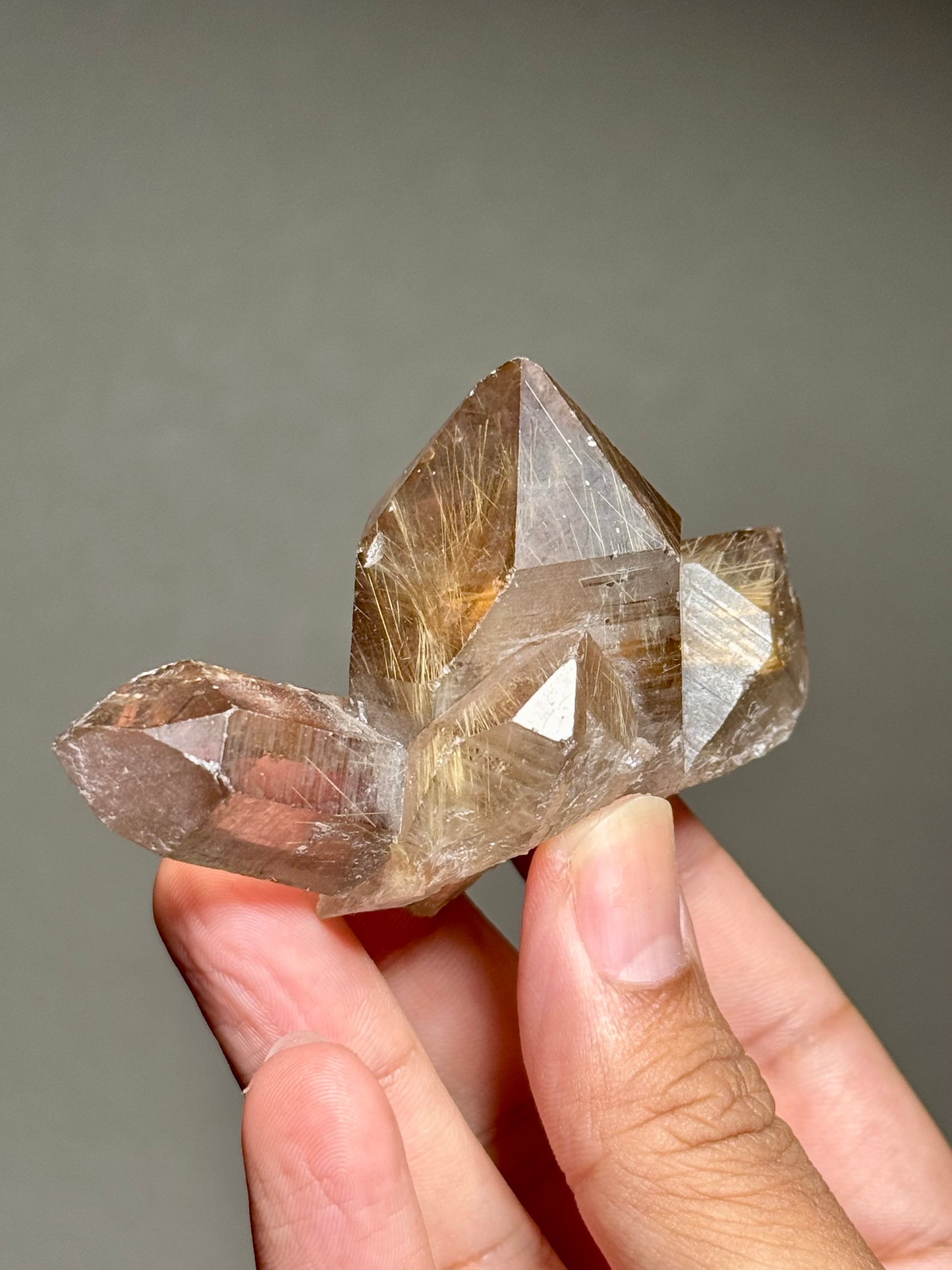 Rutile in Smoky Quartz
