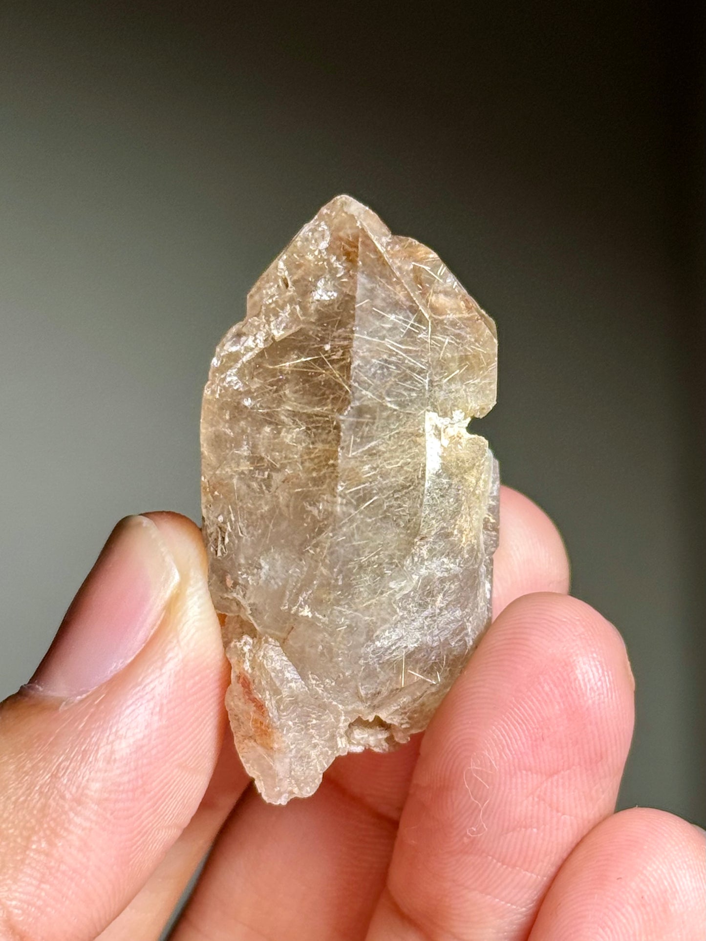 Smoky Quartz with Rutile