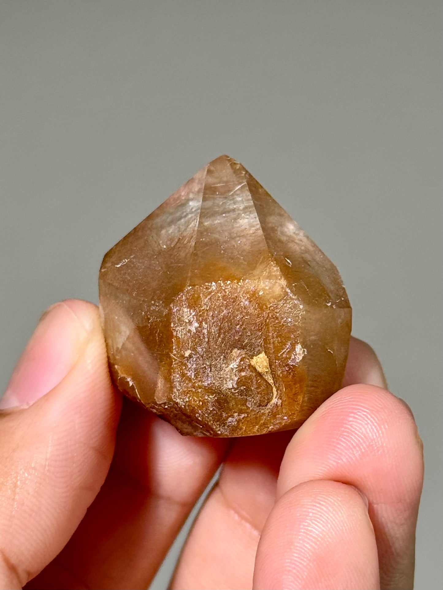 Semi-Polished Himalayan Quartz with Rutile