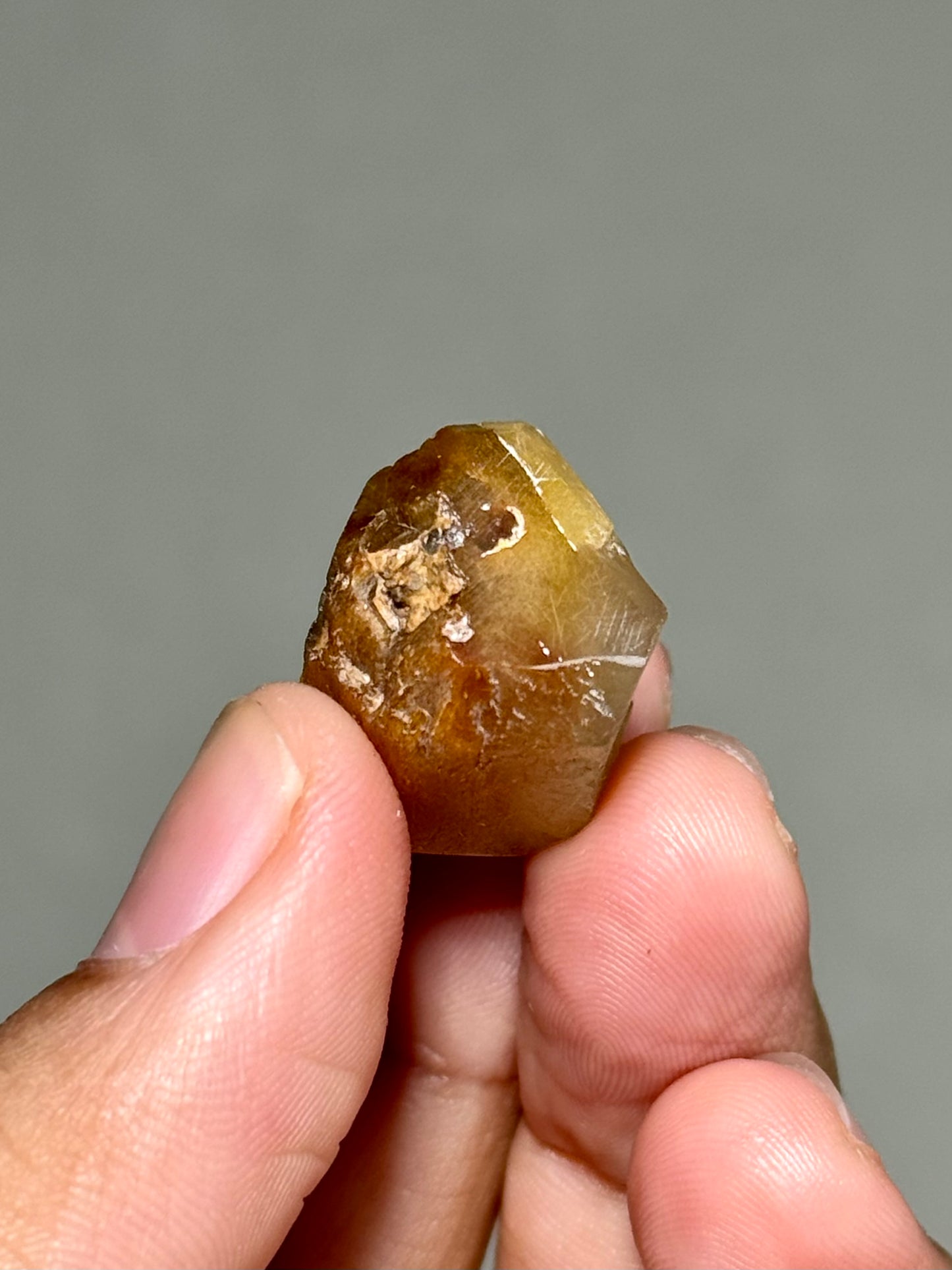 Semi-Polished Himalayan Quartz with Rutile