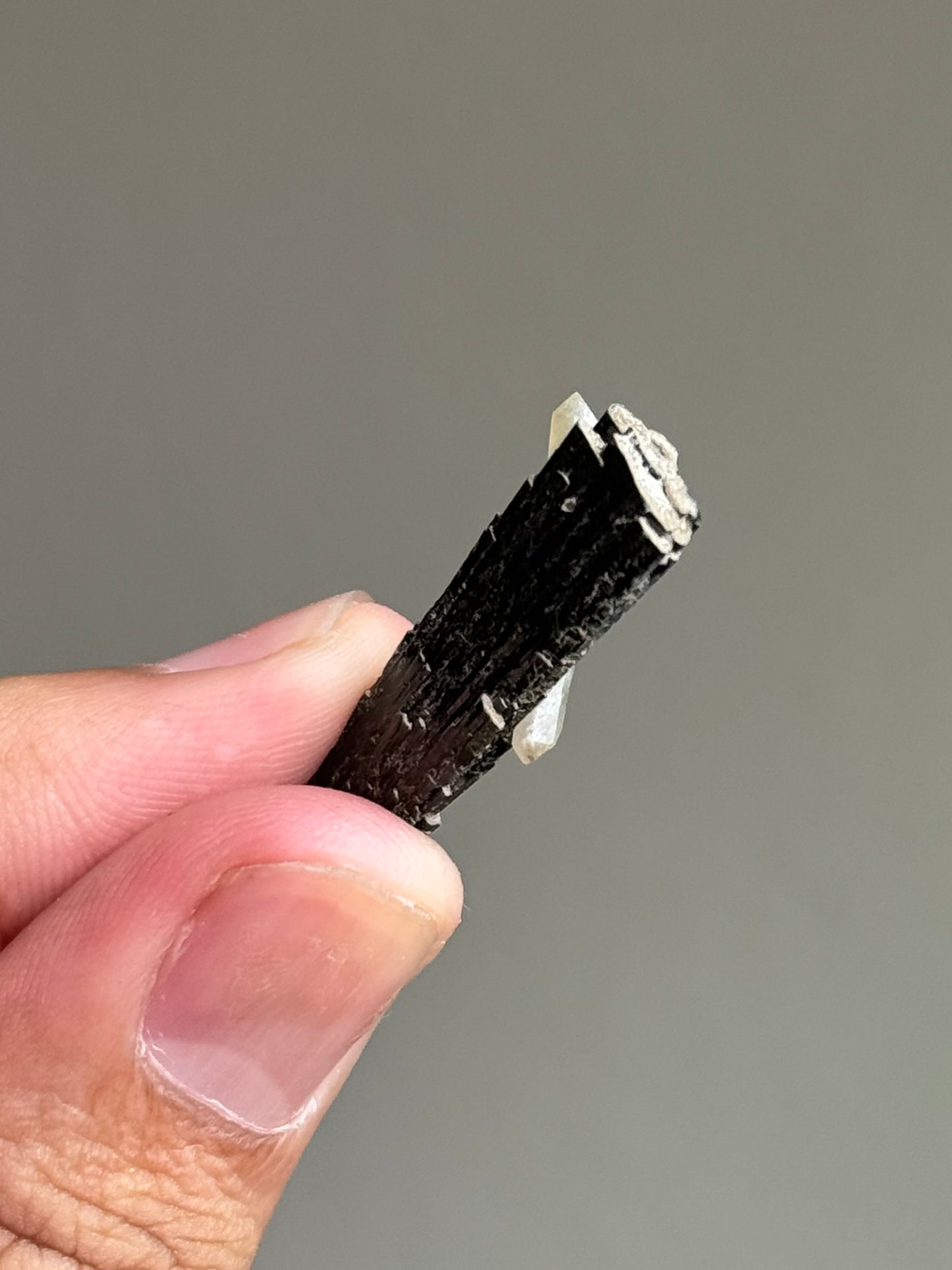 Hedenbergite & Quartz