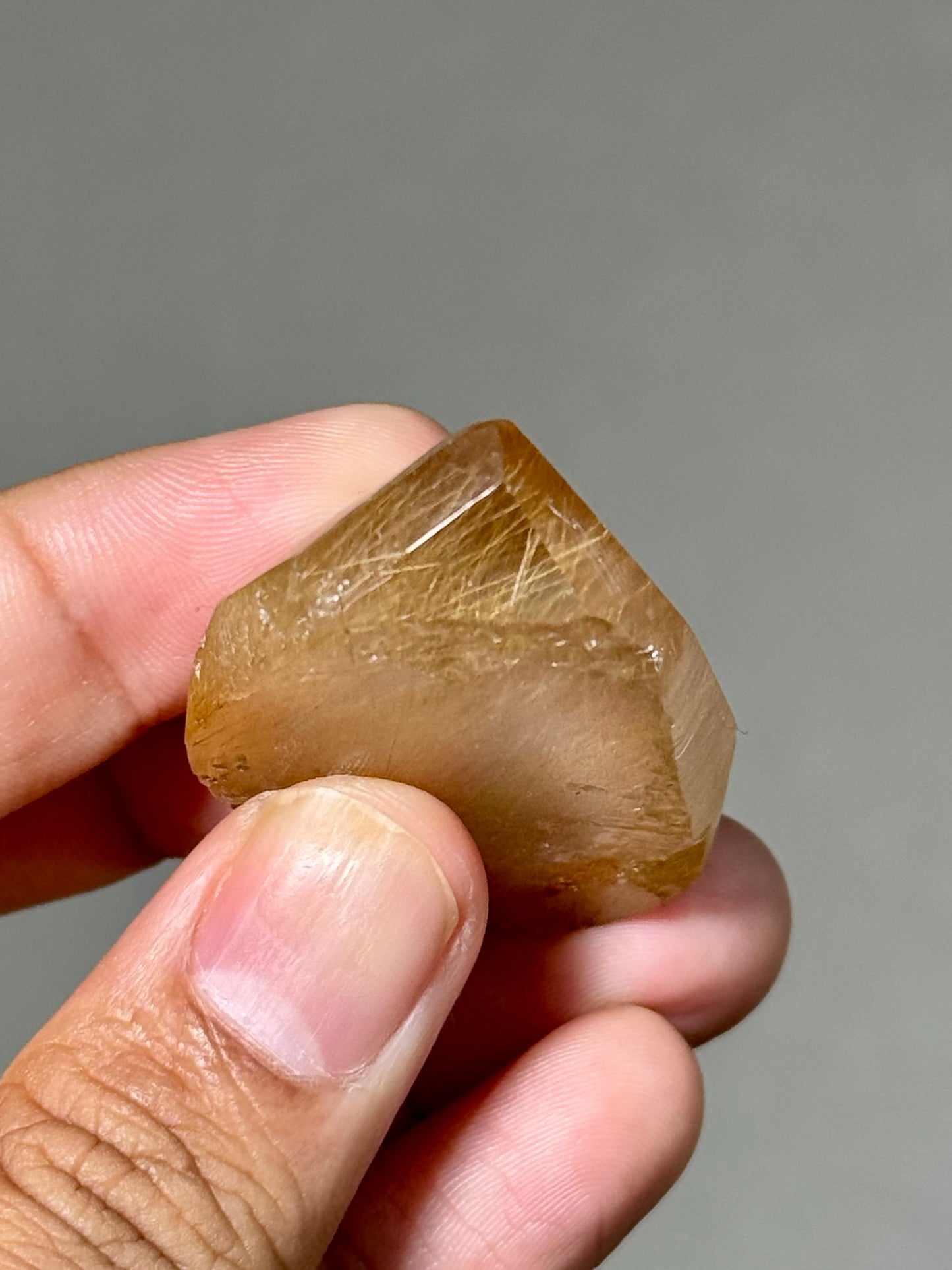 Semi-Polished Himalayan Quartz with Rutile