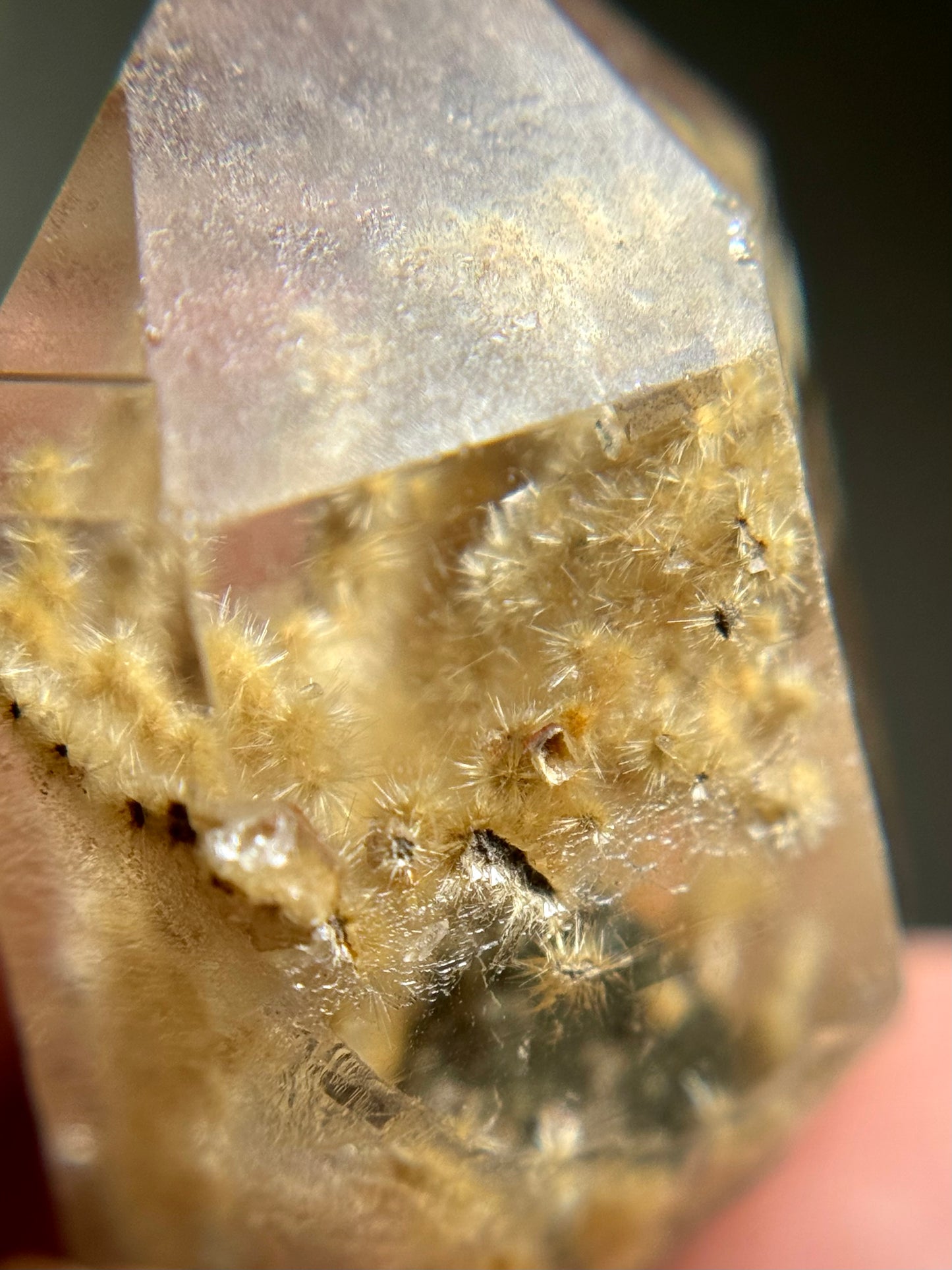 Dandelion Rutile in Quartz