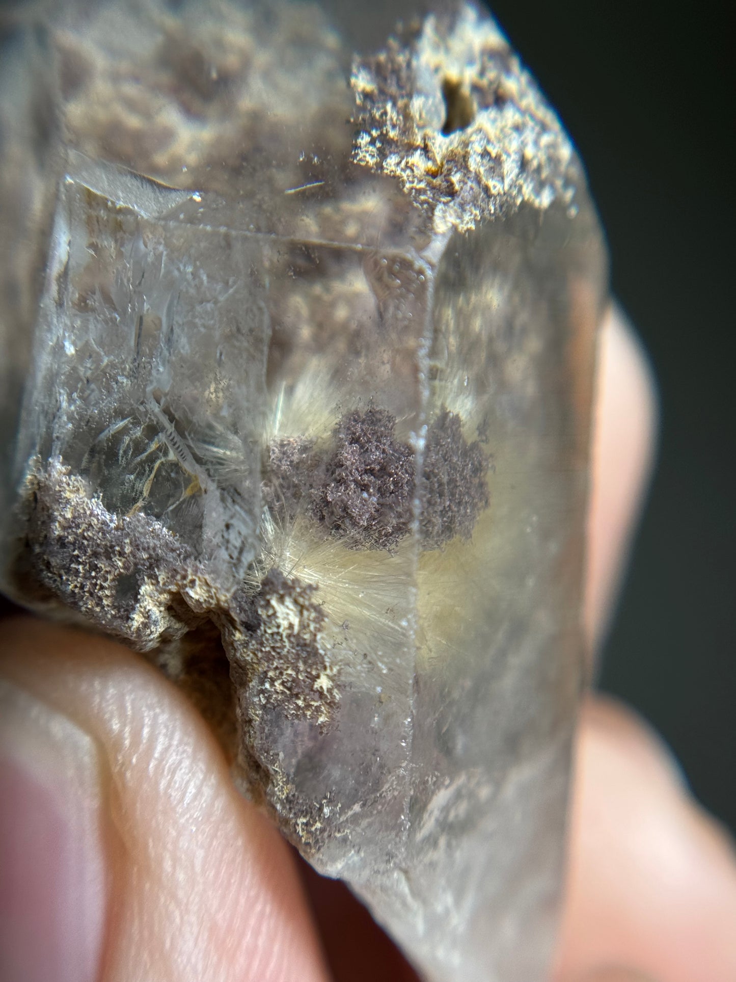 Dandelion Rutile in Quartz