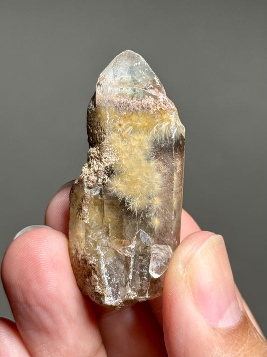 Dandelion Rutile in Quartz