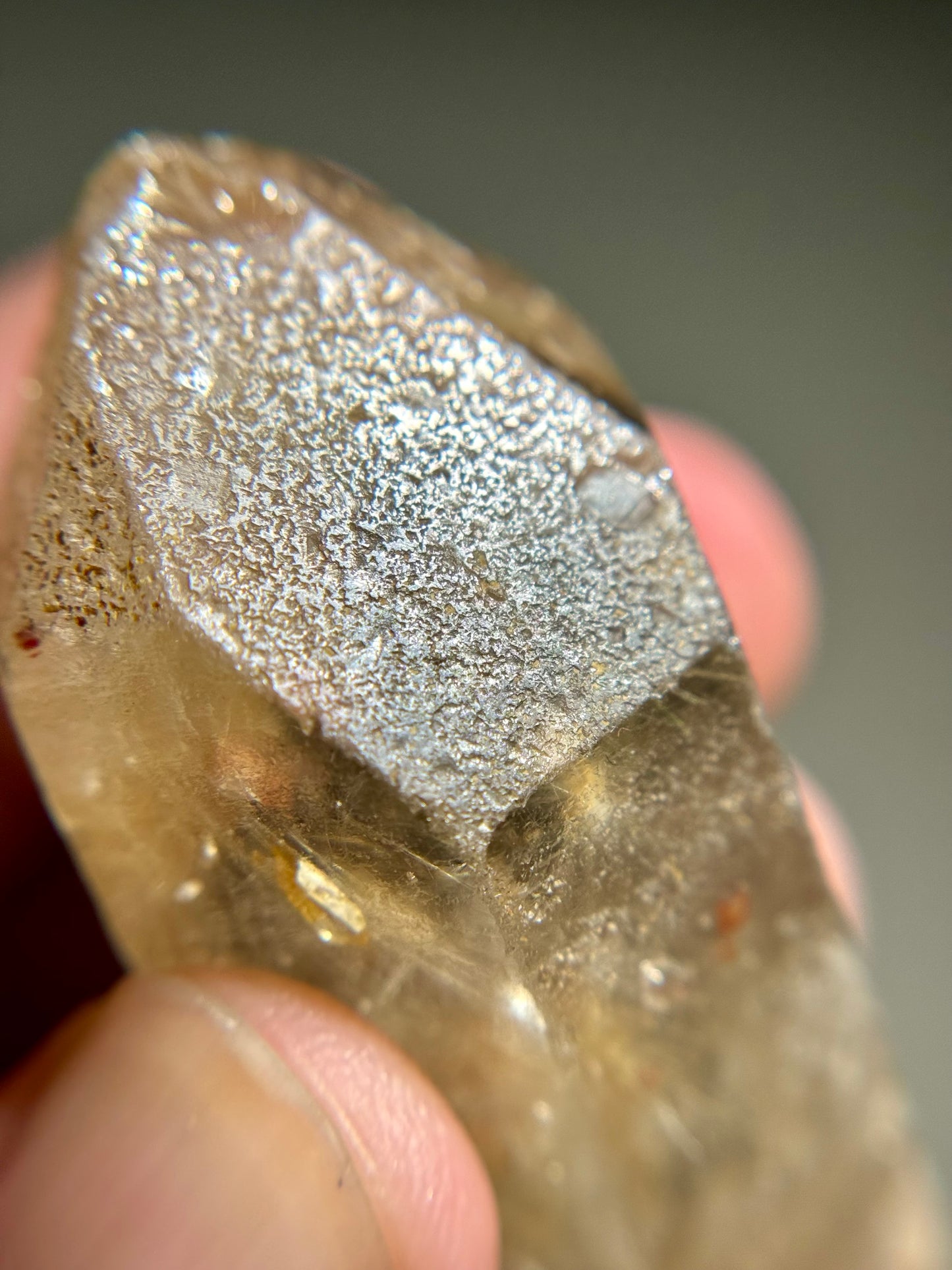 Dandelion Rutile in Quartz