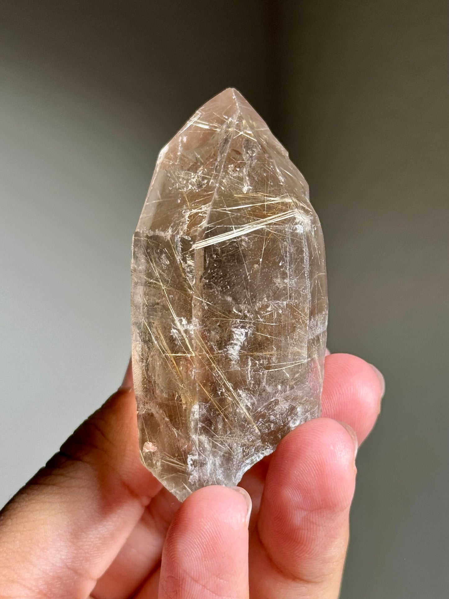 Smoky Quartz with Rutile