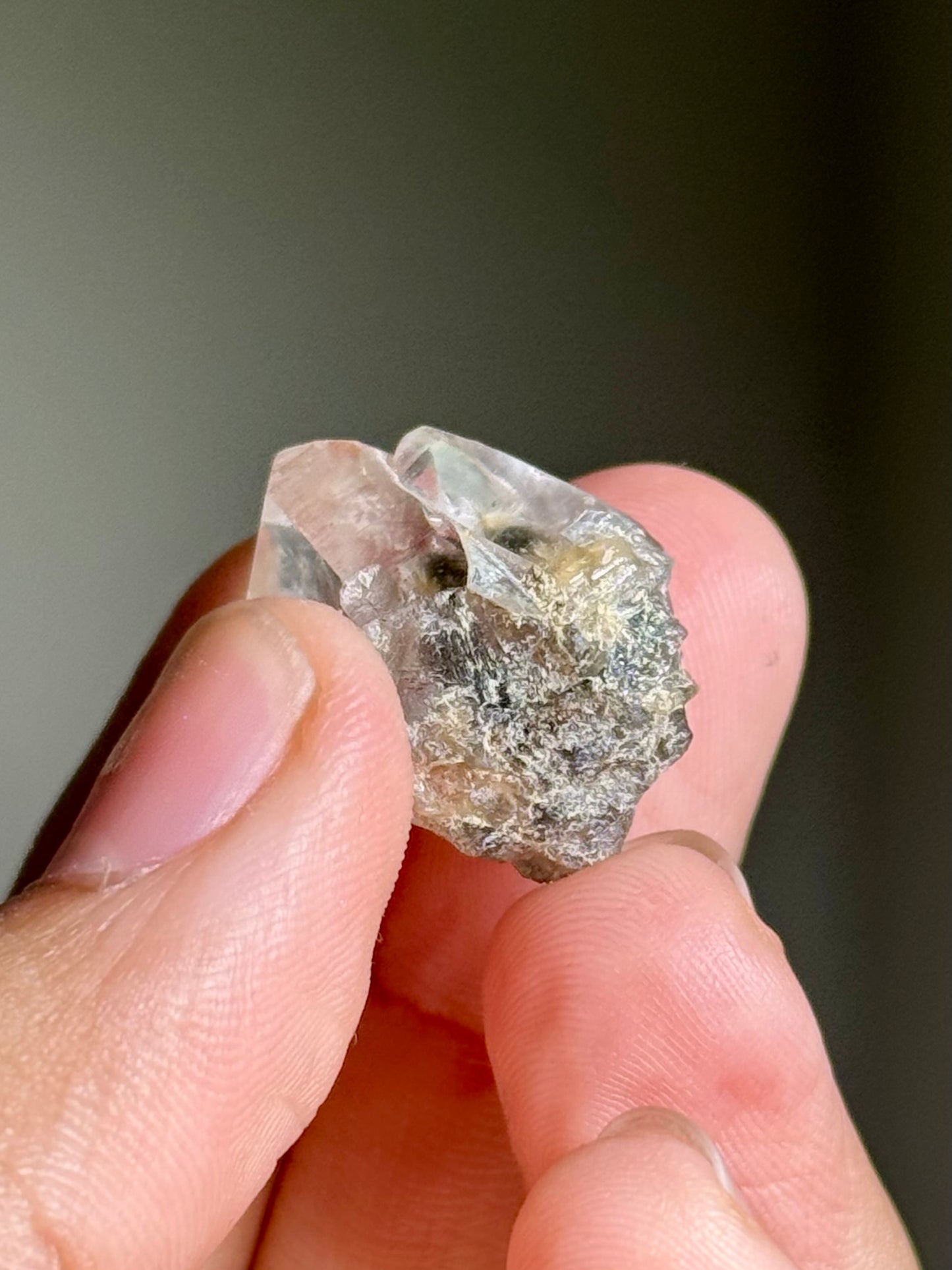 Dandelion Rutile in Quartz