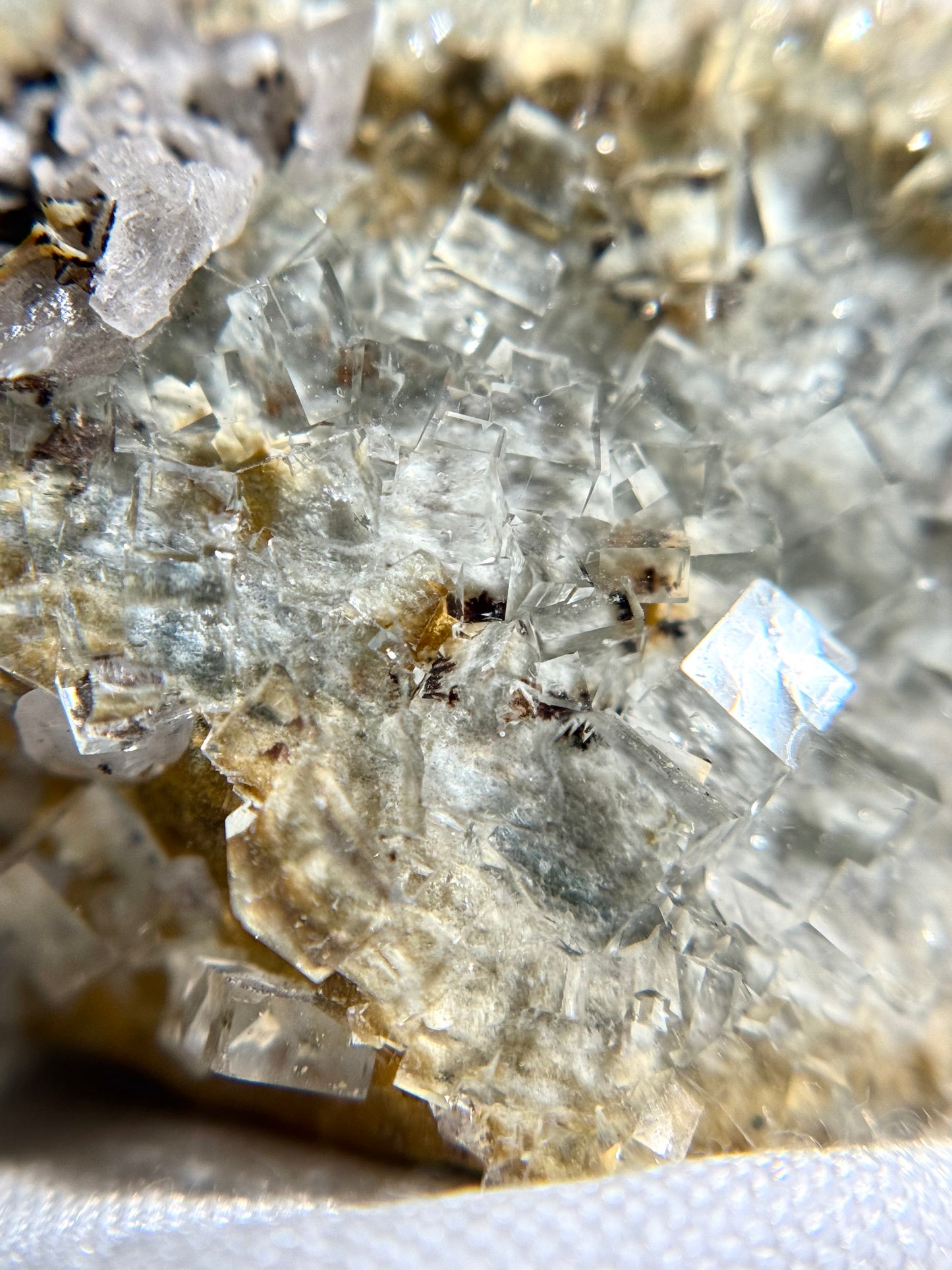 Fluorite w/Dendrites