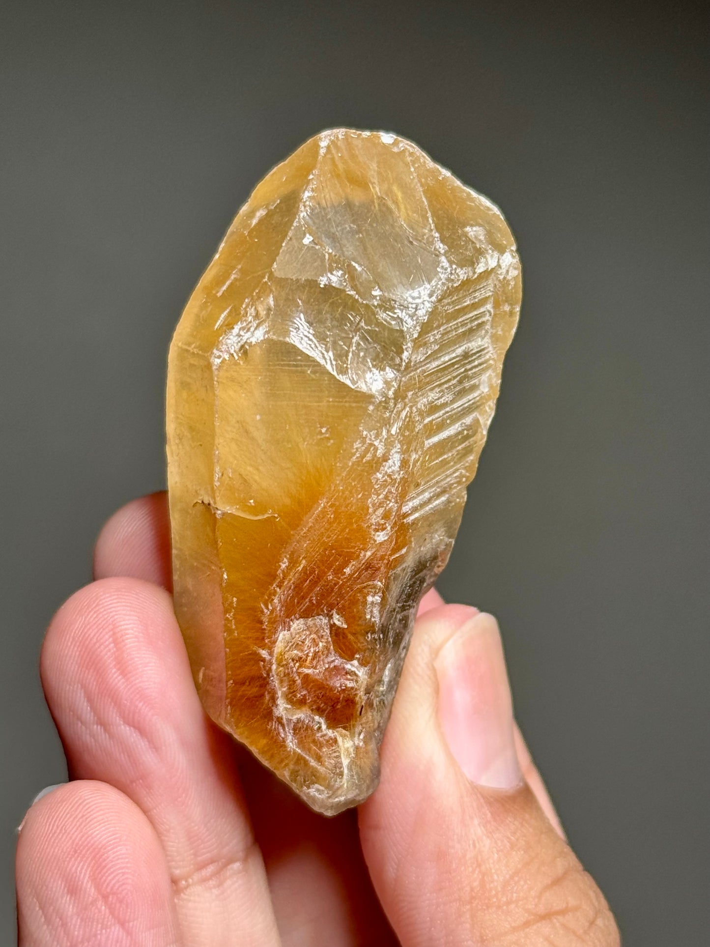 Dandelion Rutile in Quartz