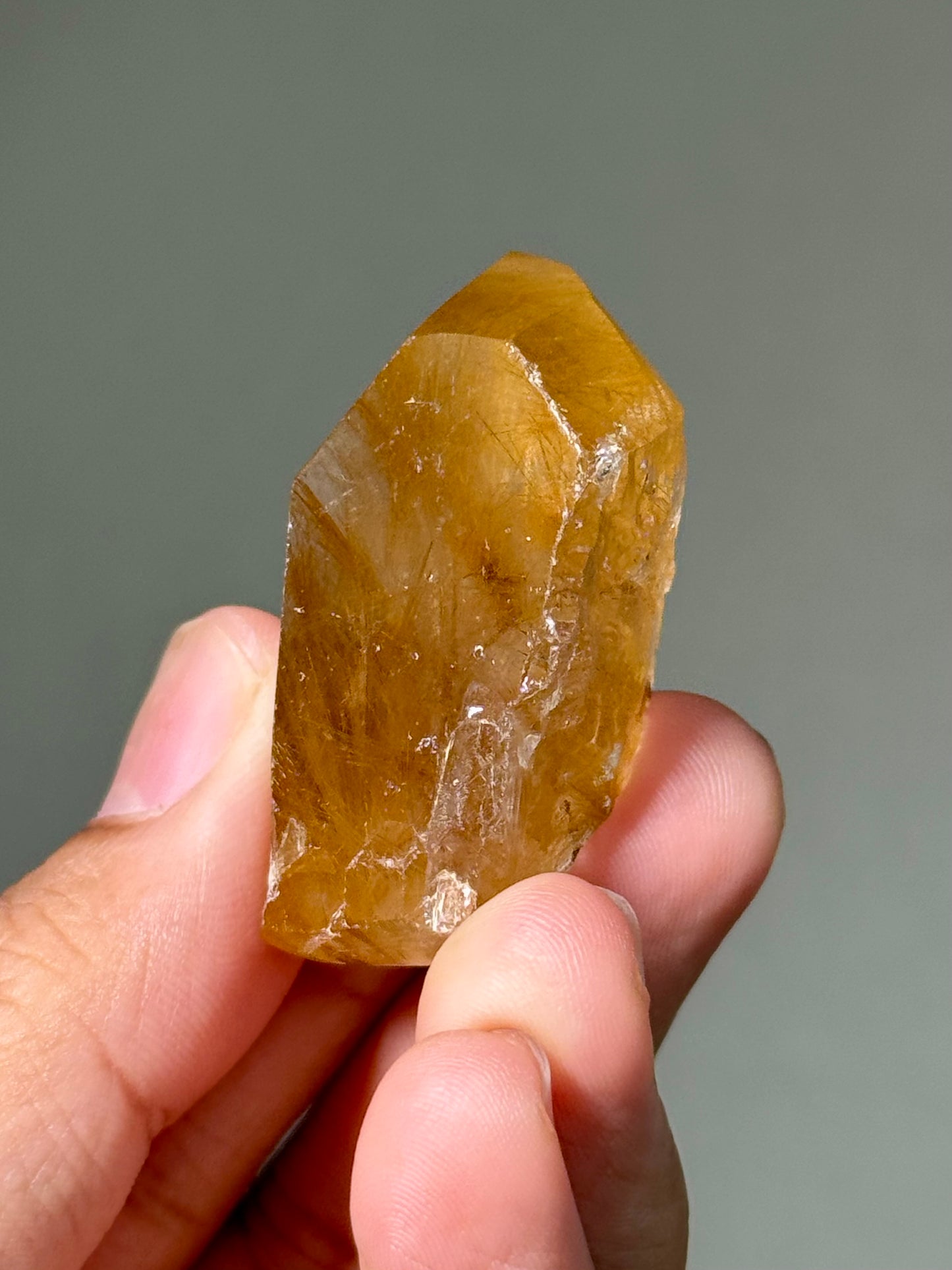 Semi-Polished Himalayan Quartz with Rutile