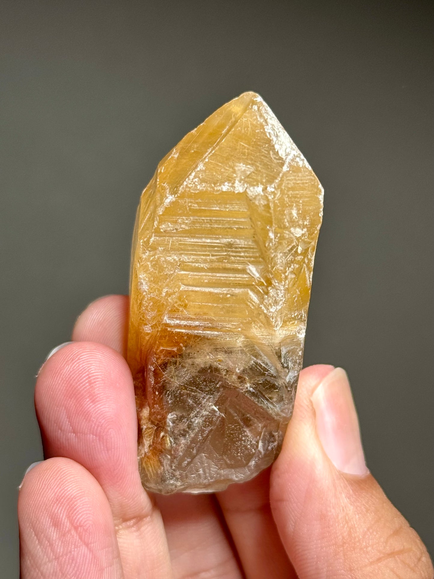 Dandelion Rutile in Quartz