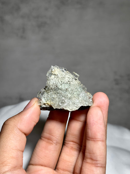 Fluorite w/Dendrites