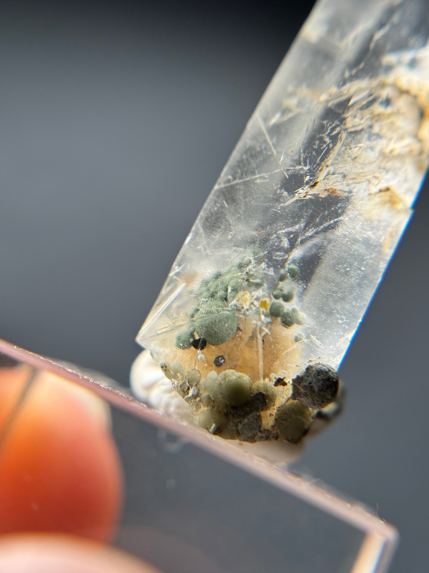 Cookite & Tremolite in Quartz