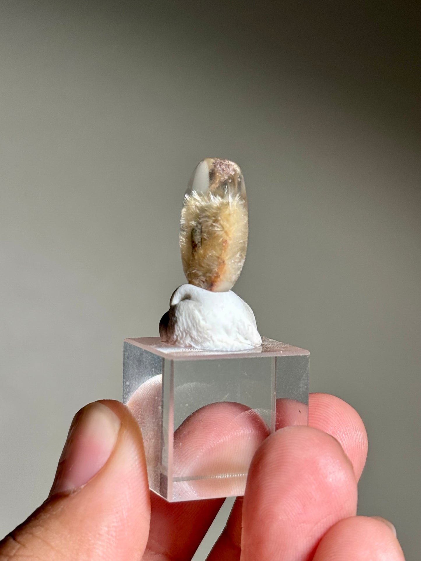 Dandelion Rutile in Quartz (Polished)