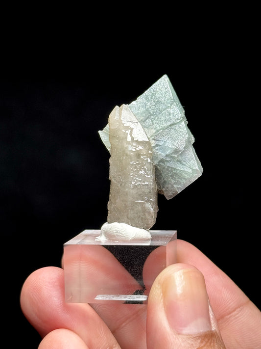 Fluorite on Smoky Quartz