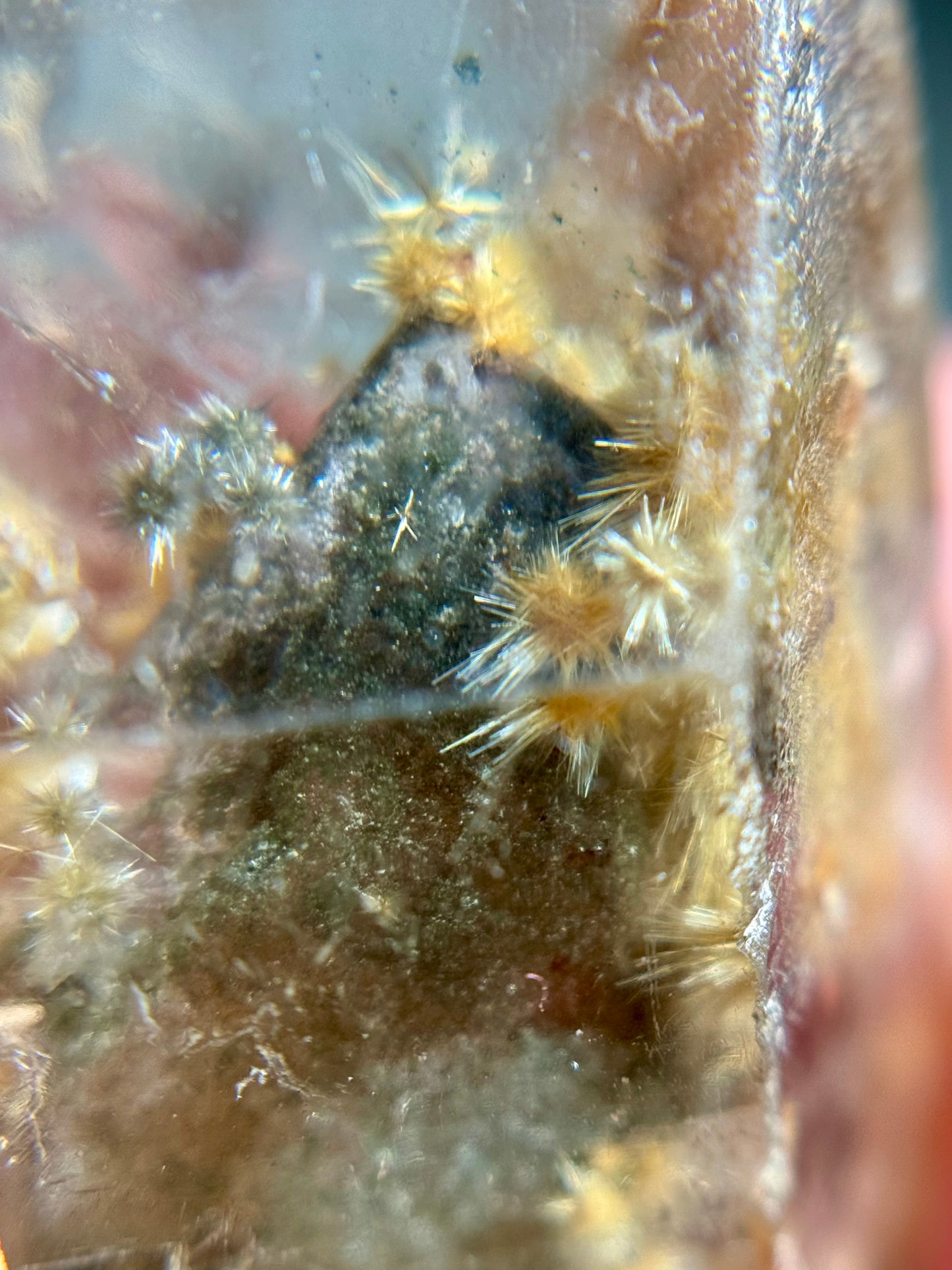 Dandelion Rutile in Quartz