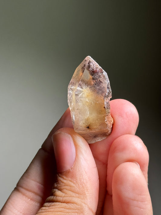 Dandelion Rutile in Quartz