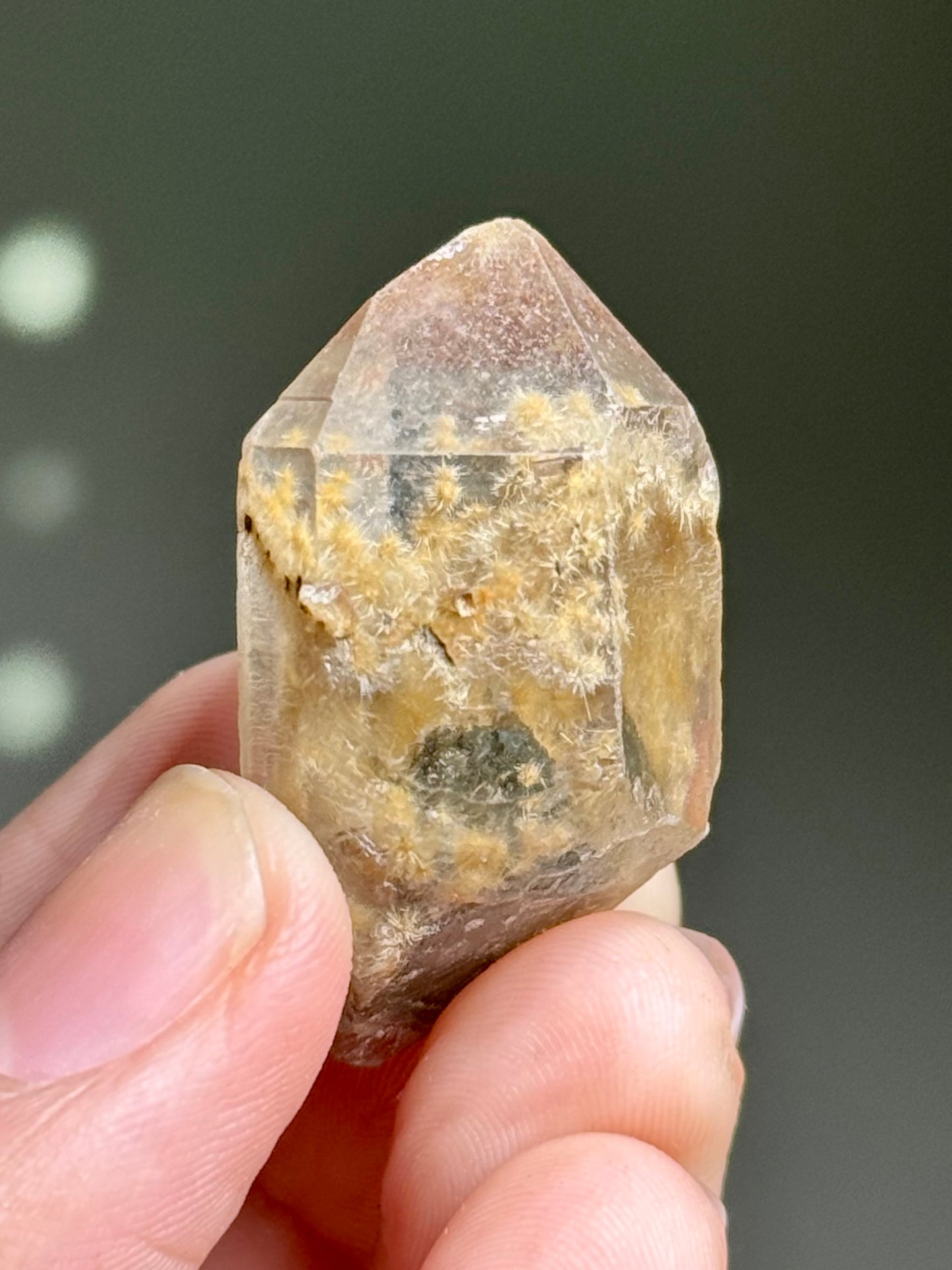 Dandelion Rutile in Quartz