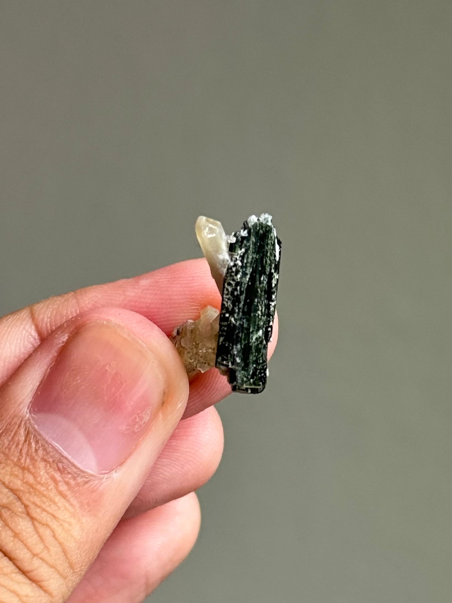 Quartz and Hedenbergite