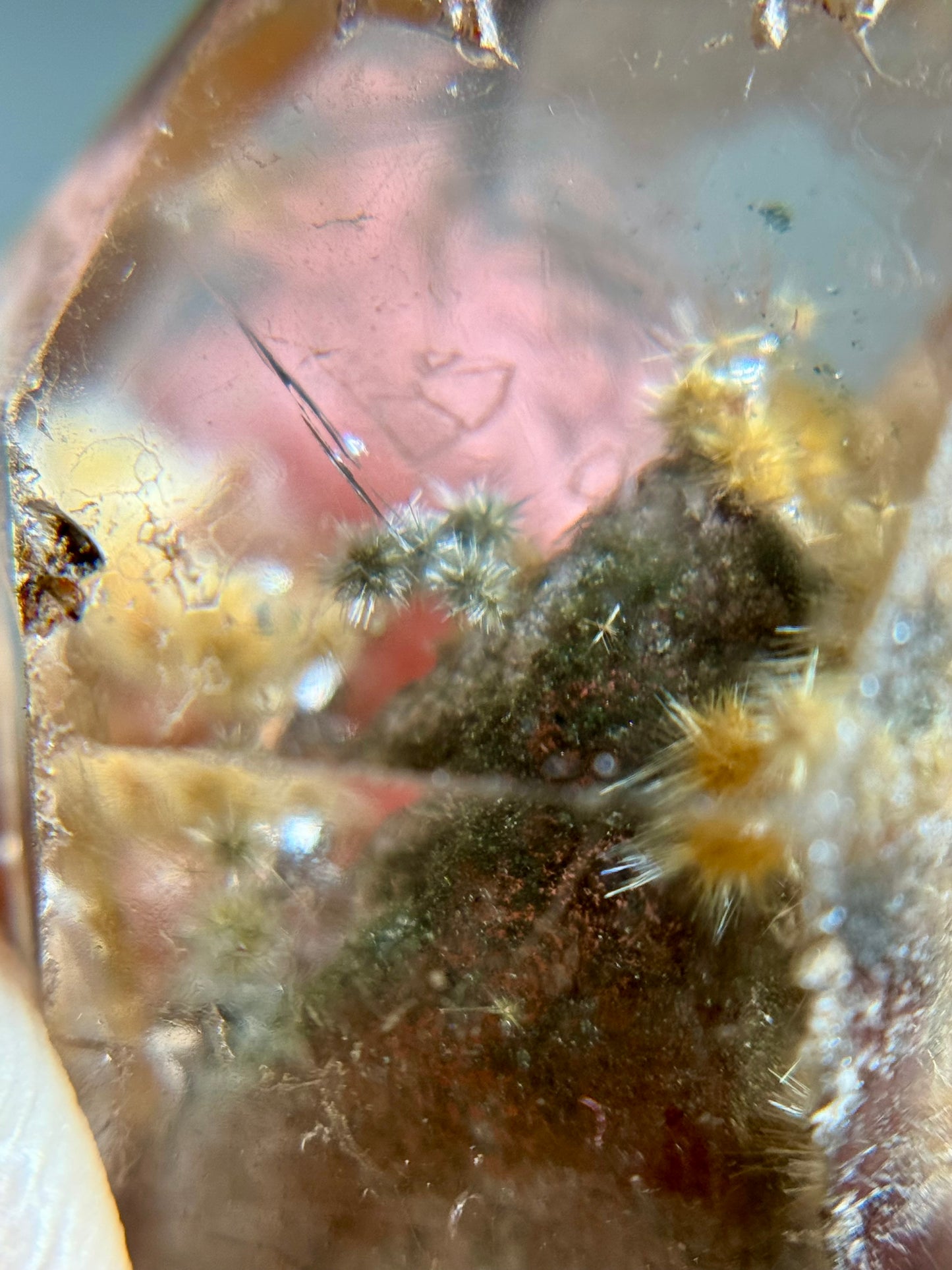 Dandelion Rutile in Quartz