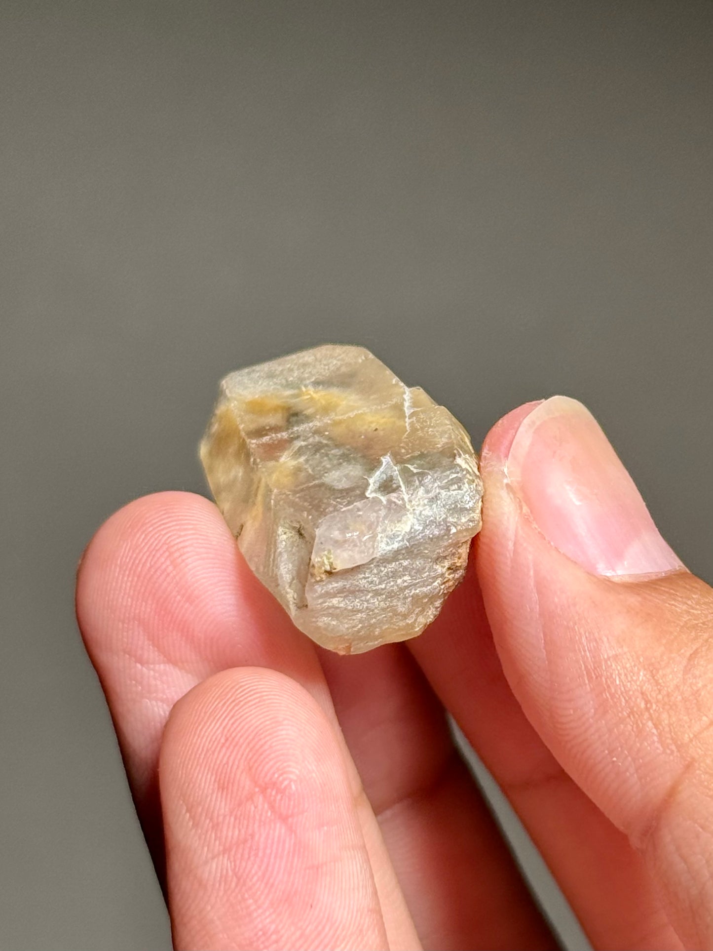 Dandelion Rutile in Quartz
