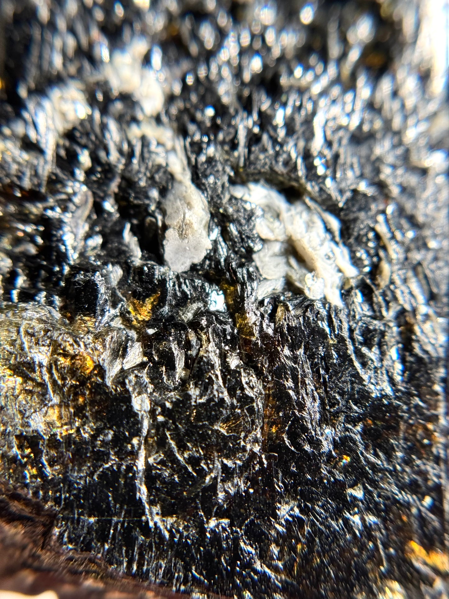 Dravite in Schorl