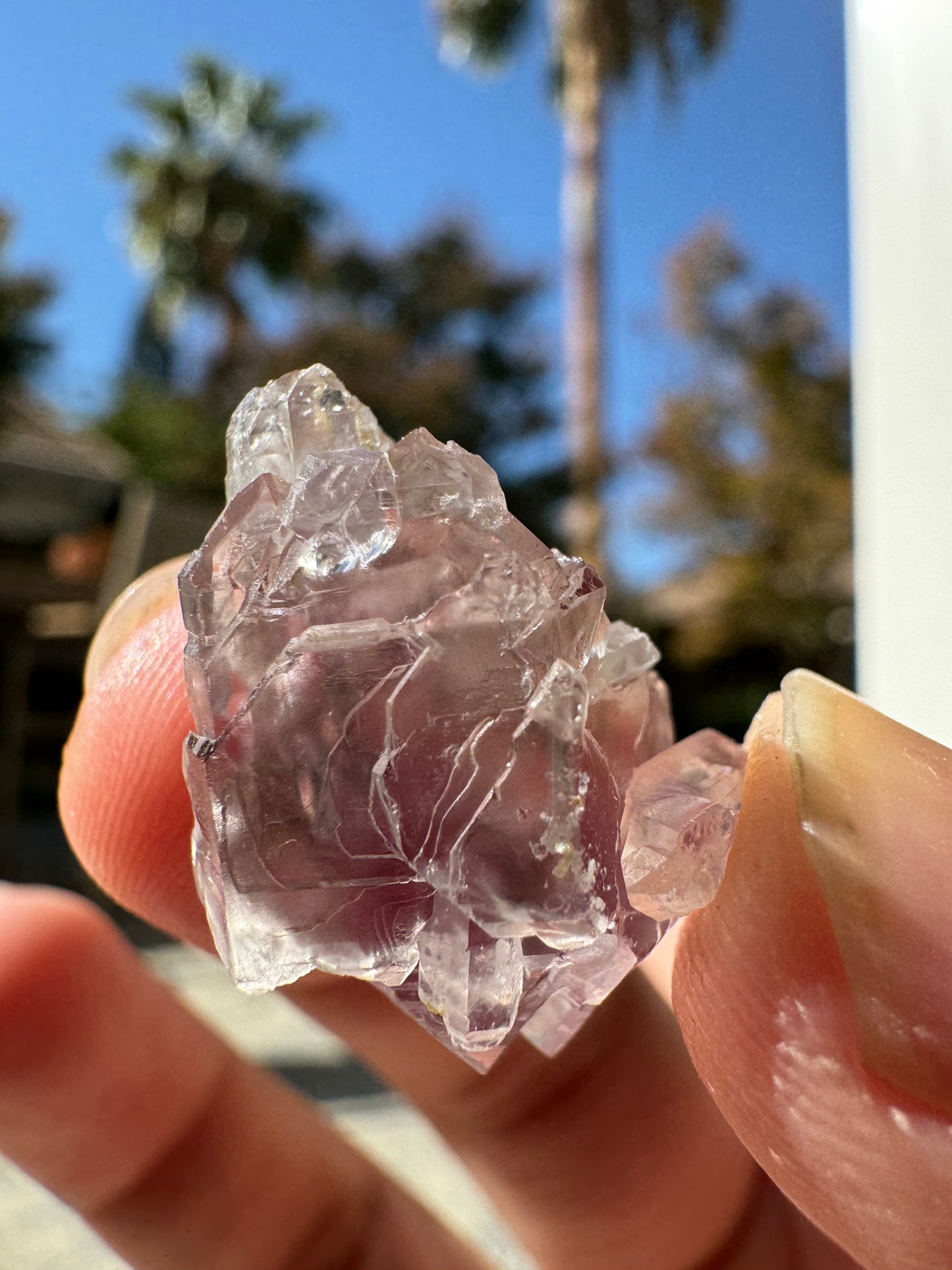 Little Gem Mine Amethyst