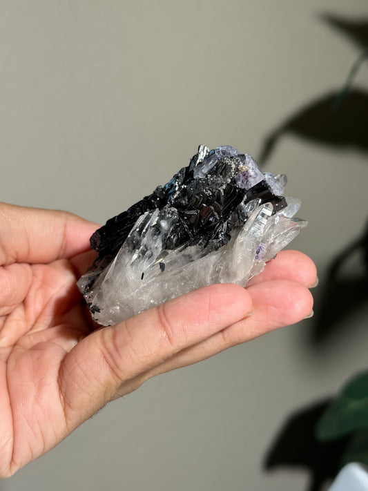 Quartz, Wolframite & Fluorite