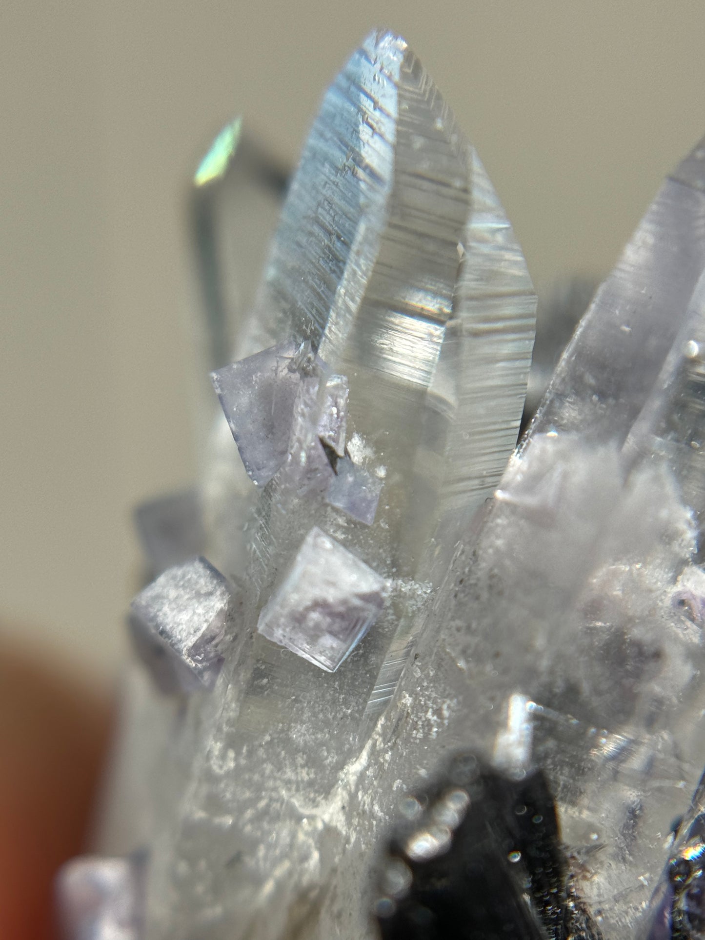 Quartz, Wolframite & Fluorite