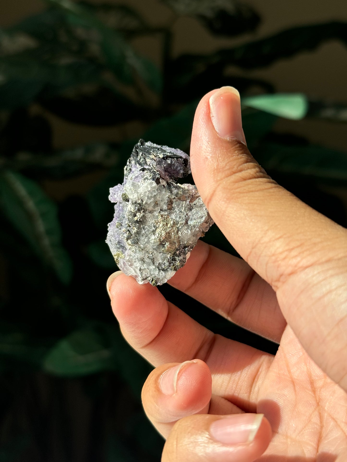 Quartz, Ferberite & Fluorite