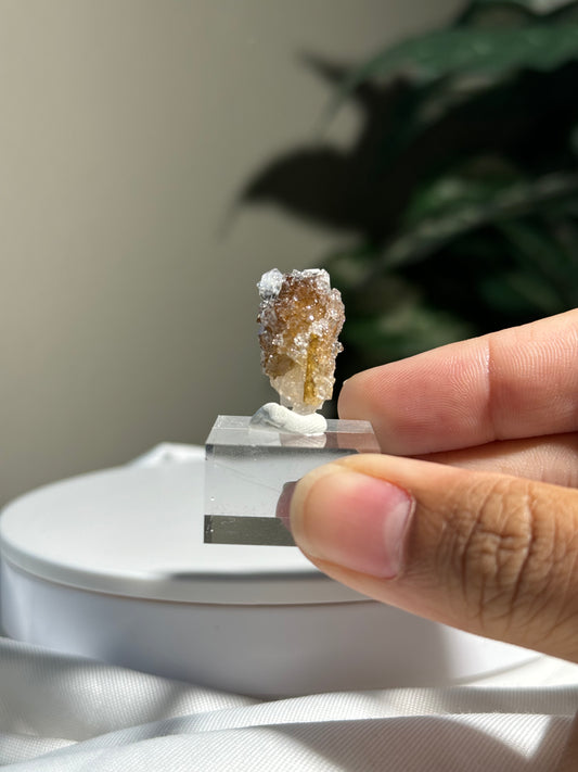 Danburite with Quartz