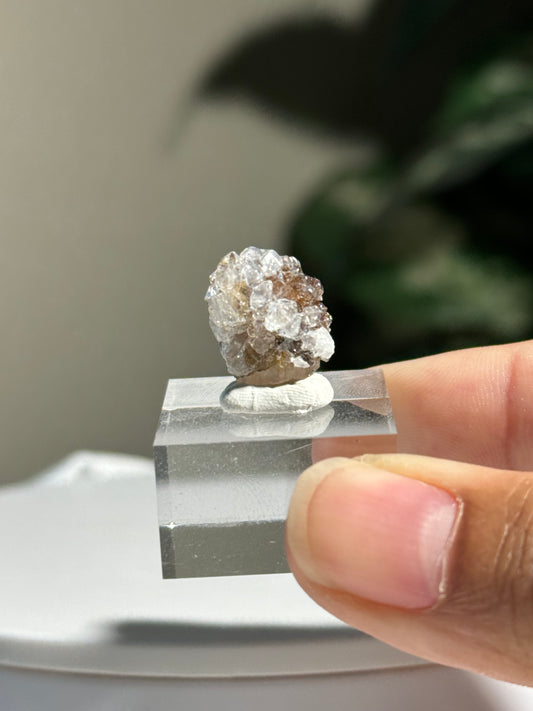 Danburite with Quartz