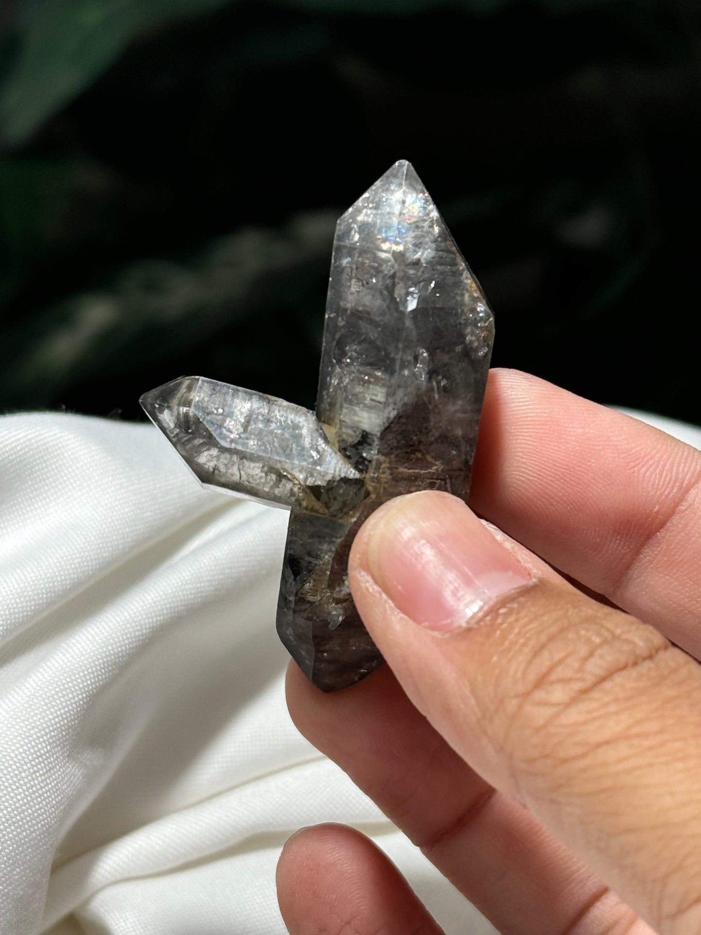 Quartz with Carbon DT