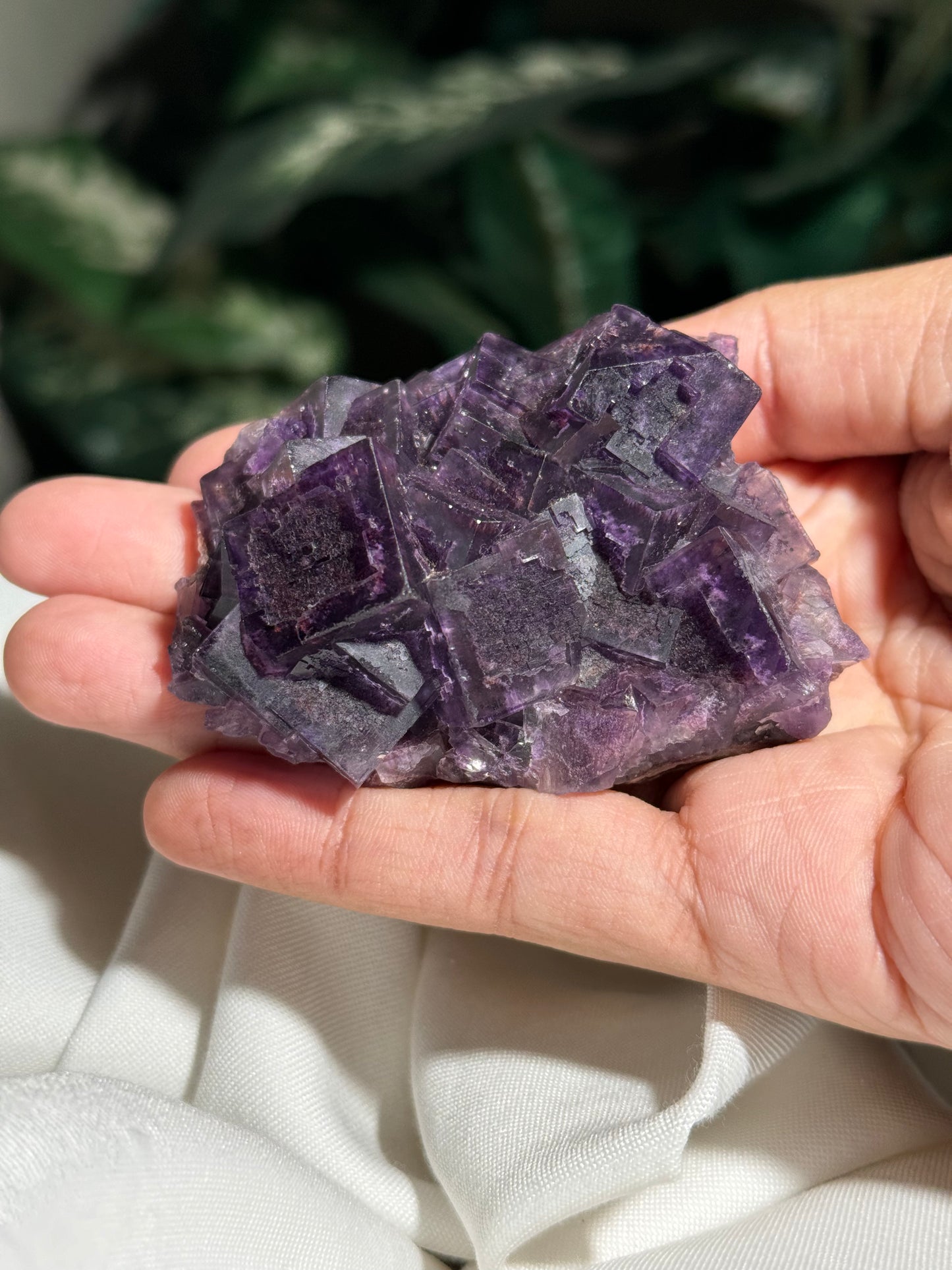 Fluorite (Guizhou)