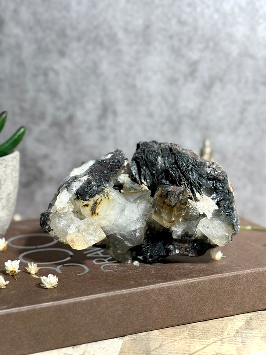 Quartz with Hematite