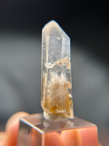 Cookite & Tremolite in Quartz