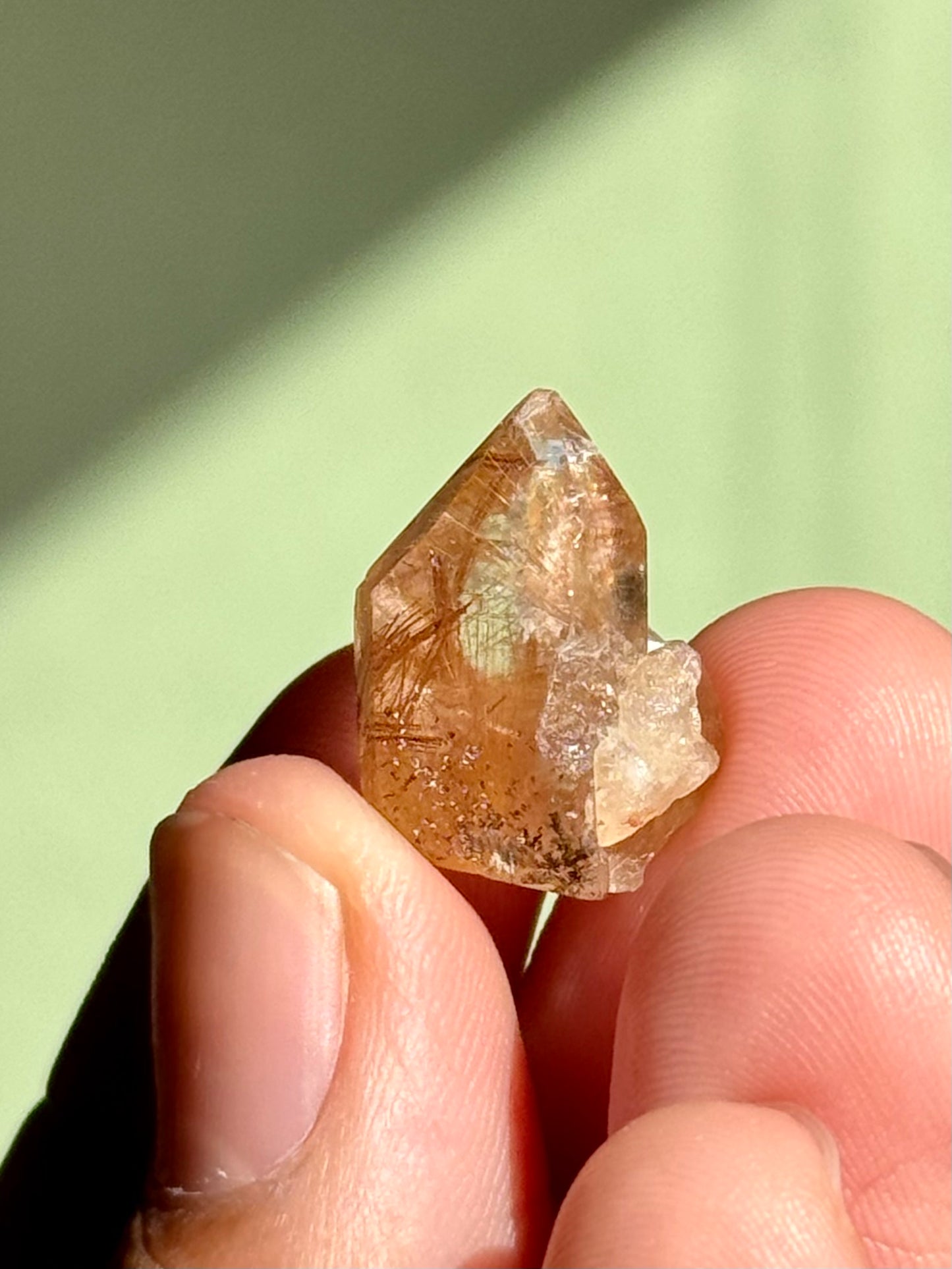 Semi-Polished Himalayan Quartz with Rutile