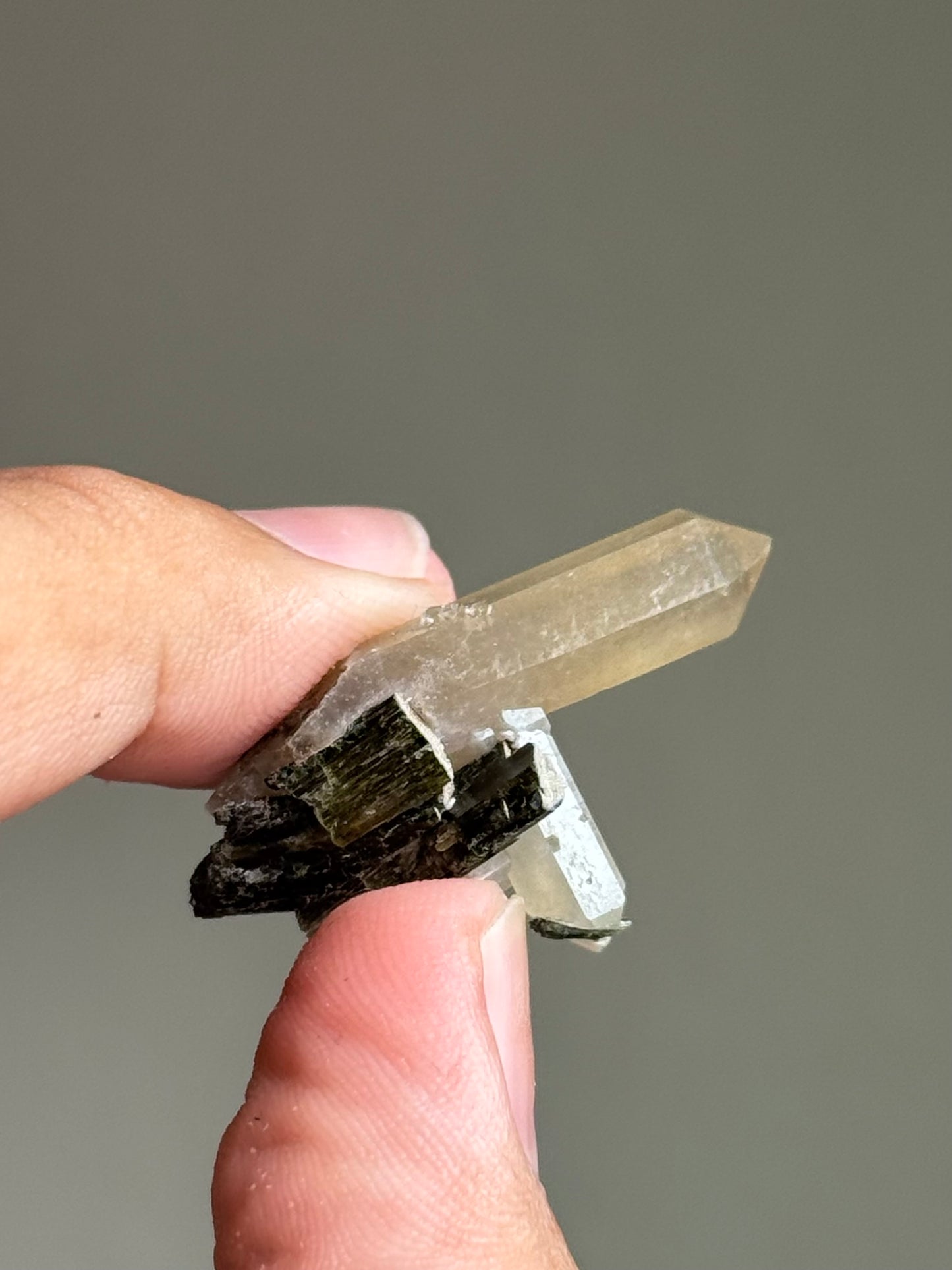 Quartz & Hedenbergite