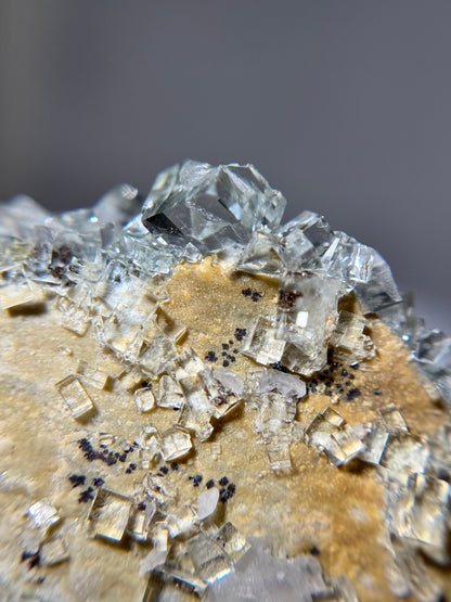 Fluorite w/Dendrites