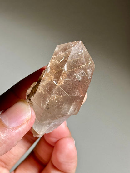 Smoky Quartz with Rutile