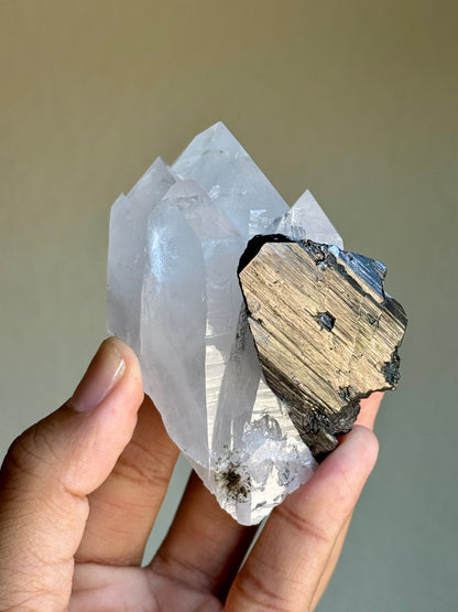 Quartz & Ferberite