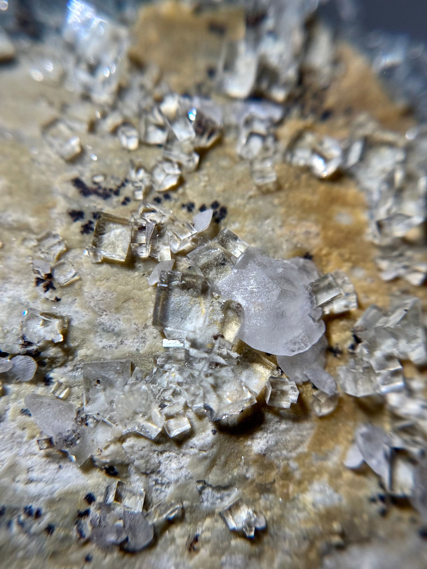 Fluorite w/Dendrites