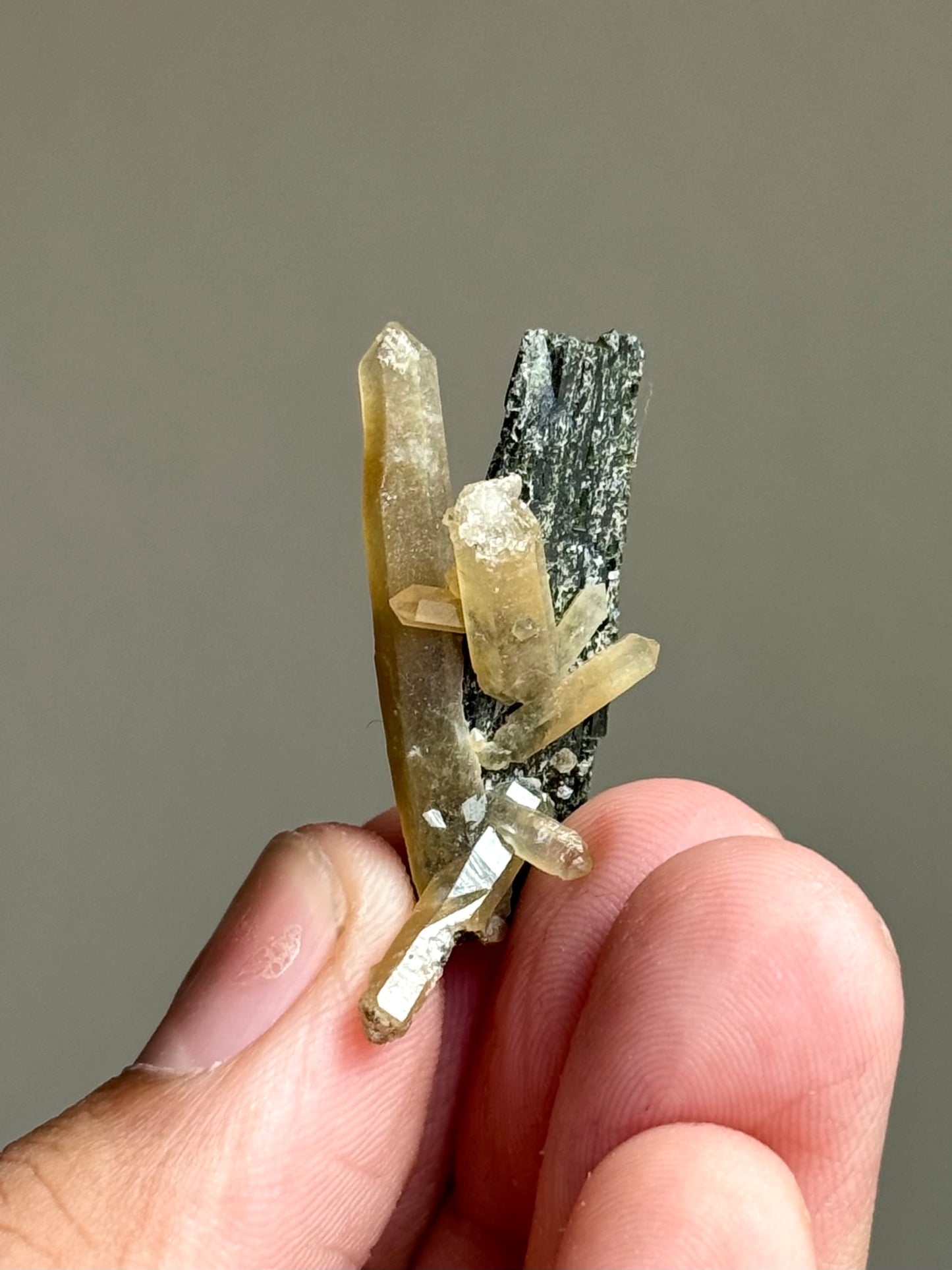 Hedenbergite & Quartz